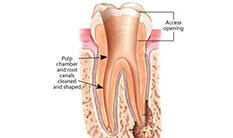 classic dental