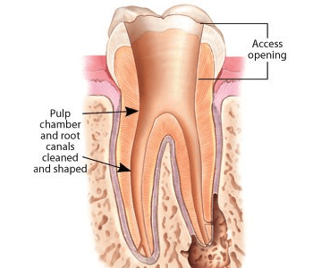 classic dental